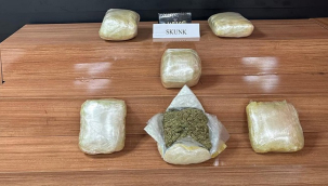 Urfa'da 19 kilo 150 gram skunk ele geçirildi