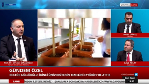 Güllüoğlu: Siverek il olursa, üniversite için her şey hazır!