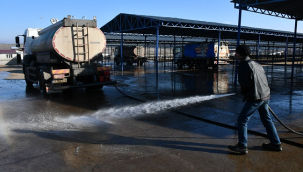 Siverek Hayvan pazarı yeniden açılıyor: Çalışmalar başladı!