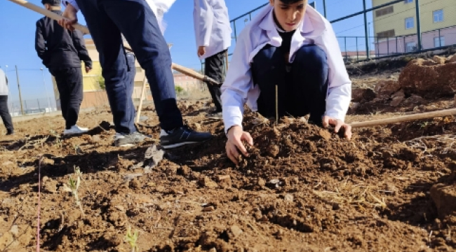 Sultan Alparslan MTAL'den Alternatif Tarım Hamlesi