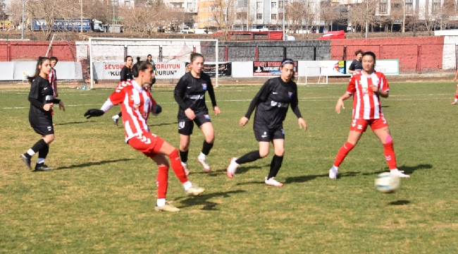 Siverek İdman Yurdu Spor, Şanlıurfa ekibini kolay geçti: 3-0