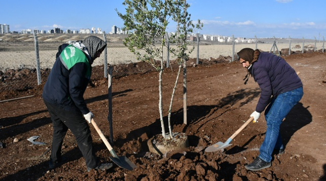 Millet Şire Bağları ile tarihi üzüm üretimi yeniden canlanıyor