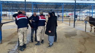 Siverek'te geniş kapsamlı asayiş uygulaması