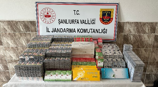 Jandarmadan kaçak sigara operasyonu 