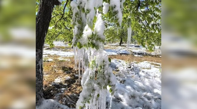 Malatya'daki don felaketi Siverekli tarım işçilerini de vurdu