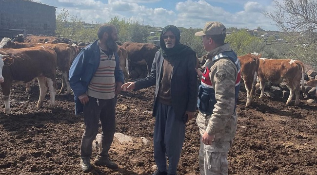 Siverek'te başarılı operasyon: Çalınan 13 büyükbaş hayvan sahibine teslim edildi