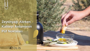 Zeytinyağı Alırken Kaliteyi Anlamanın Püf Noktaları