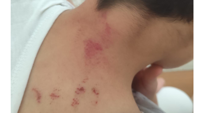 Şanlıurfa'da öğrencisini darp ettiği iddia edilen öğretmen tutuklandı