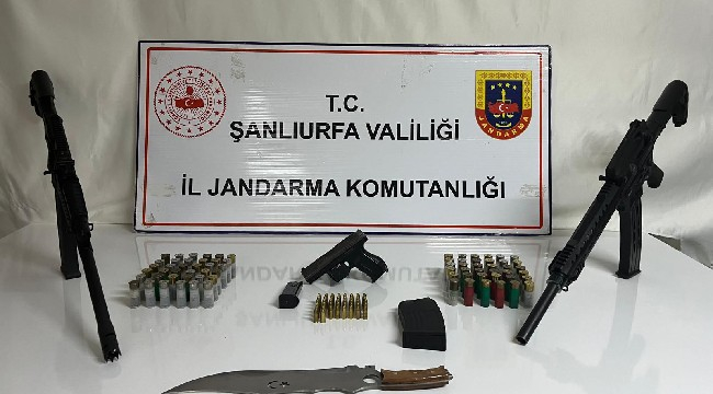 Siverek ve Birecik'te çok sayıda silah ele geçirildi