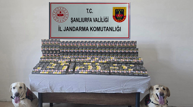 Şanlıurfa'da 3210 adet gümrük kacağı sigaraya el konuldu