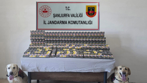 Şanlıurfa'da 3210 adet gümrük kacağı sigaraya el konuldu