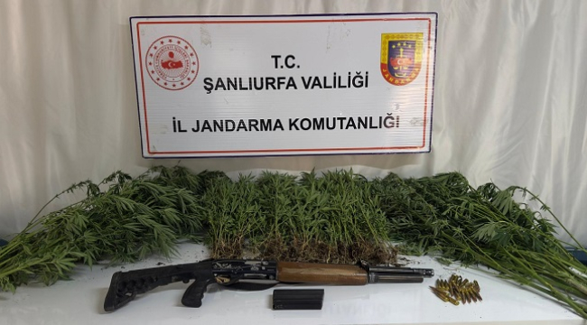 Siverek dahil üç ilçede narkotik madde operasyonu