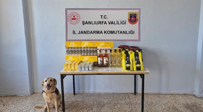 Şanlıurfa'da kaçakçılık operasyonu