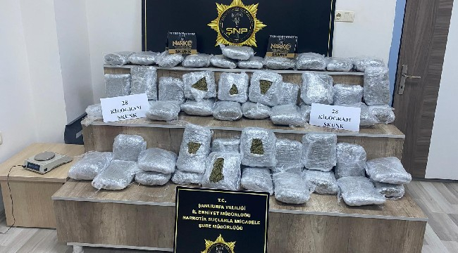Siverek'te 28 kilo skunk ele geçirildi: 2 kişi tutuklandı