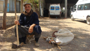 Siverek'in sessiz kahramanı Xal Polat