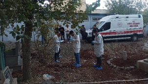 Siverek'te mezarlıkta bebek cesedi bulundu