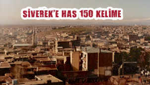 Siverek'e has 150 kelime yeniden konuşuyor!