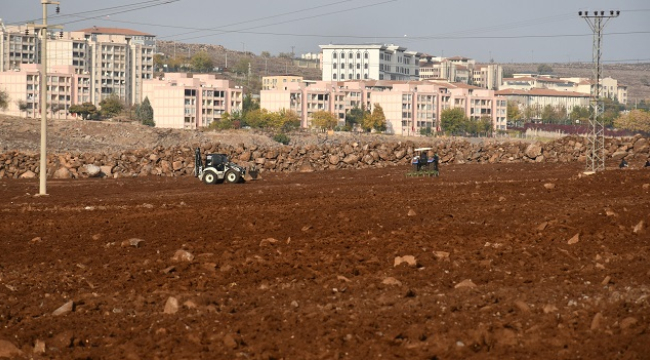 Siverek'te Millet Meyve Bahçeleri projesinde yeni adım