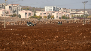 Siverek'te Millet Meyve Bahçeleri projesinde yeni adım
