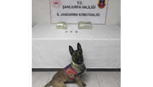 Siverek'te narkotik madde operasyonu: Kilolarca esrar ele geçirildi!