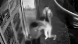 Siverek'te Şakalaşma Kazayla Bitti: Camdan İçeri Düştü