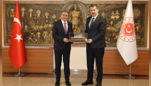 Şanlıurfa Valisi Şıldak'tan Bakan Yardımcısı Ayhan'a Ziyaret