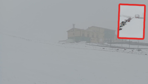 Karacadağ'da mart ayında kar sürprizi