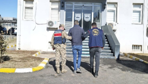 Viranşehir'de Jandarmadan Nokta Operasyon: 10 Yıl Cezalı Şahıs Yakalandı