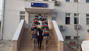 Şanlıurfa'da Göçmen Kaçakçılığı Operasyonu: 18 gözaltı