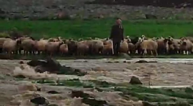 Siverek'te Mahsur Kalan Çoban ve Sürüsü Kurtarıldı