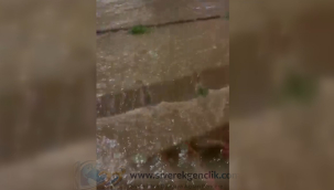 Siverek'te Sağanak Hayatı Felç Etti: Refüj Seviyesine Ulaştı