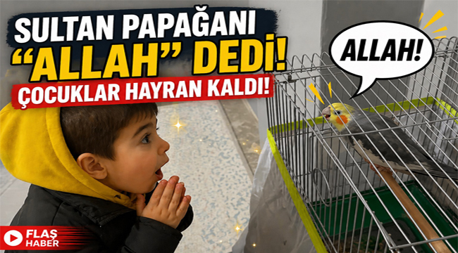 Sultan Papağanı "Allah" Dedi, Çocuk Papağana Eşlik Etti!