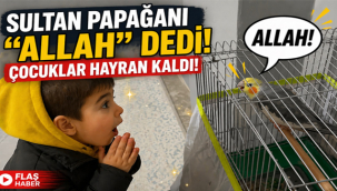 Sultan Papağanı "Allah" Dedi, Çocuk Papağana Eşlik Etti!