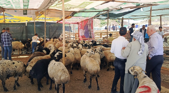 Kurbanlık Alışverişi İçin "Son Günü Beklemeyin" Uyarısı 