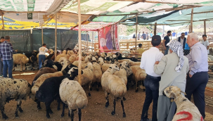Kurbanlık Alışverişi İçin "Son Günü Beklemeyin" Uyarısı