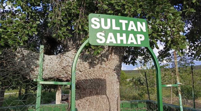 Siverek'in Esrarengiz Ziyaretgahı: Sultan Sahap