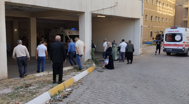Siverek'te Fırat Nehri'ne giren 2 kız kardeş hayatını kaybetti 
