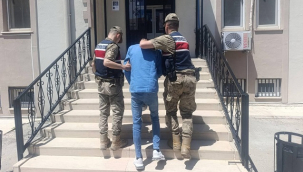 Şanlıurfa'da aranan hükümlü jandarmadan kaçamadı